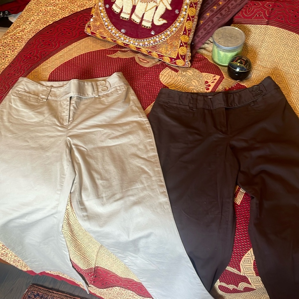 Ann Taylor Loft Petite medium rise pants